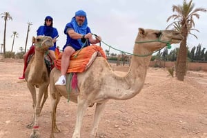 Marrakech kameltur i palmelunden