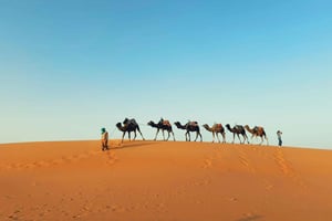 Marrakech: paseo en camello, sandboard, 3 días en Merzouga y tour por el desierto
