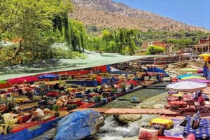 Marrakech : Dagtrip met gids en lunch naar Ourika vallei