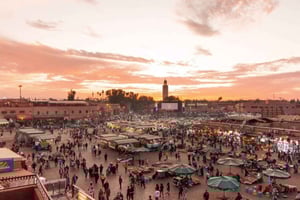 From Casablanca: Marrakech Full day Excursion and Camel ride