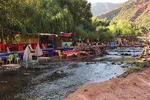 Marrakech: Ourika Valley & Atlas Mountains Half-Day Trip