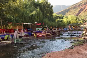 Marraquexe: Excursão de meio dia ao Vale de Ourika e às Montanhas Atlas