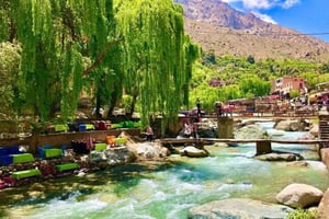 Marrakech: dagtrip naar de Ourika-vallei en watervalwandeling