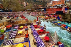 Marrakech : Vallée de l'Ourika, cascades, Atlas, guide et déjeuner