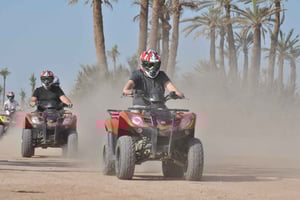 Marrakech: Palm Grove en Jbilat woestijn quad tour