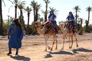 From Marrakech: Camel Ride in the Palm Grove