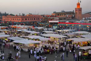 Marrakech: tour privado de los puntos destacados de la ciudad