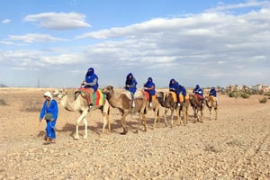 Marrakech: quad bike and Camel Ride in Marrakech