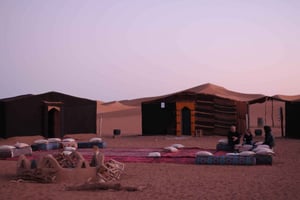 Marrakech: Bahia Palace, Saadian Tombs & Top Highlights Tour