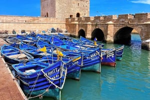 Marrakech: Small Group to Essaouira Day Tour, Unesco & Beach