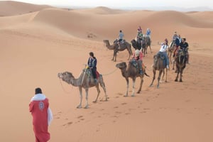 Из Марракеша в Фес через пустыню Мерзуга 3-дневный тур по Сахаре