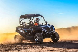 Marrakech: Udflugt til palmelunden og ørkenbuggy