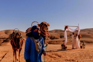 Marrakech : Excursion dans le désert et les montagnes avec balade à dos de chameau et déjeuner