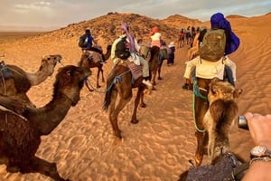 ザゴラ砂漠：思い出に残る1泊2日の砂漠探検