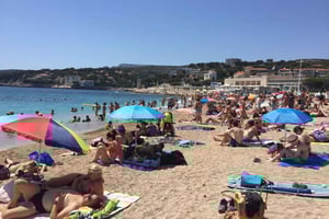 Cassis, Bandol, Le Castellet wine tour: Cliffs and Vineyards