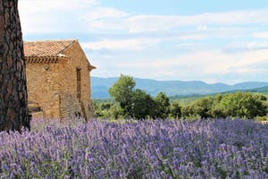 From Marseille: Wine and Scenery around Aix-en-Provence