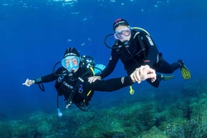 Marseille: Dive and Snorkel Adventure