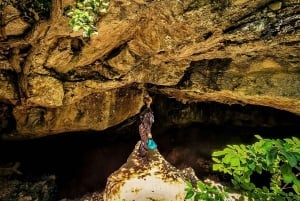 La Ciotat: Caving in Calanques National Park Half-Day Tour