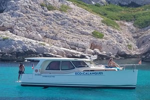 Marseille: Calanques National Park Boat Trip with Swimming
