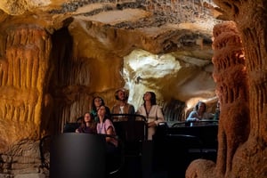 Marseille: Cosquer Cave Entry Ticket and Audioguide
