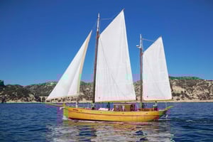 Marseille: Day sailing in the heart of the Calanques with organic lunch and wine