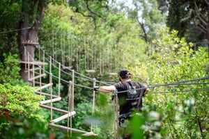 Marseille: Ecopark Adventures Treetop Adventure