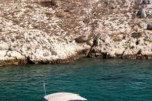 Marseille: Half-Day Boat Tour to the Calanques National Park