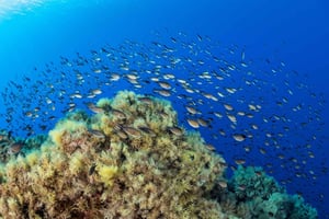 Marseille: Snorkeling and a Boat Ride