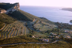 Marseille Vieux Port & Wine Tasting - Private Tour