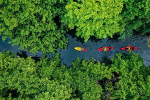 Mauritius: Guided Kayak Tour on Tamarin River