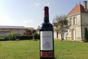 Saint-Émilion: Vineyard Walking Tour and Tasting