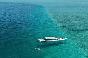 5 Islas Todo Incluido Lancha Rápida c/Snorkeling Tortuga Marina