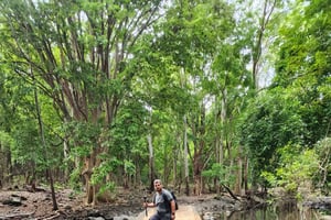 Río Negro: Excursión guiada por el Valle de las Gargantas del Río Negro