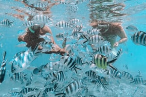 Blue Bay: Visita della Blue Bay con barca con fondo di vetro e snorkeling