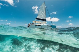 Blue Safari Full Day Catamaran Cruise: North East