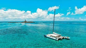Blue Safari Full Day Catamaran Cruise: South East