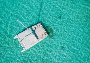 Blue Safari South West Full Day Cruise