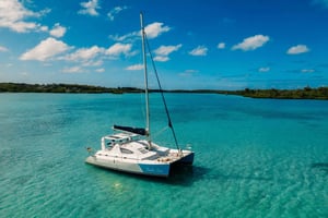 Crucero en catamarán a île aux Cerfs con observación de delfines y almuerzo
