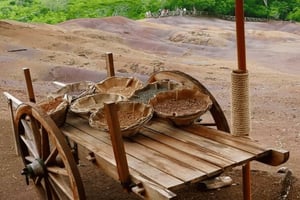 Mauritius: Chamarelin 7 väriä ja vesiputouksia, lounaiskierros