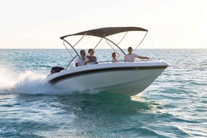 Excursión de un día a Ile aux Cerfs y otras Joyas del Sur.