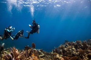 SCOPRI LE IMMERSIONI IN LEMORNE con EasydiveMauritius