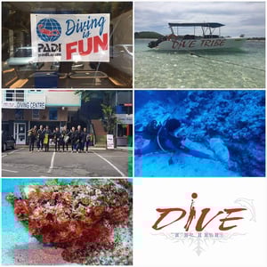 Dive Tribe Mauritius