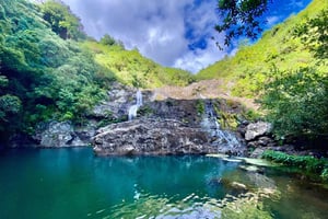 カトルココスから：タマリンド滝ハイキング日帰り旅行