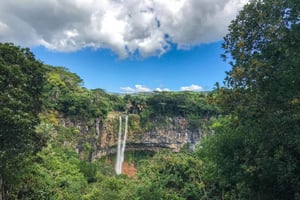 終日ツアー専属運転手