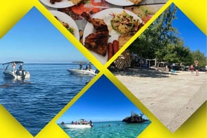 Ile aux Benitiers / Nadar con delfines / snorkel / almuerzo /