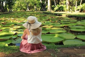 local Market,Botanical garden,Rum tasting & authentic Lunch