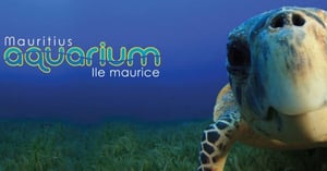 Mauritius Akvarium