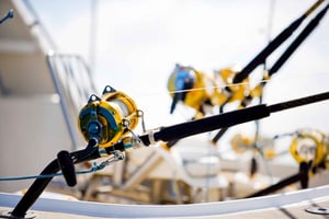 モーリシャス：グランド・ベイ発ビッグゲームフィッシングツアー