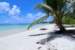 Mauritius: Katamaransejltur til Ile Aux Cerfs inklusive afhentning