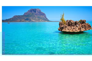 Mauritius: Dolfijnontmoeting & Benitier Eiland